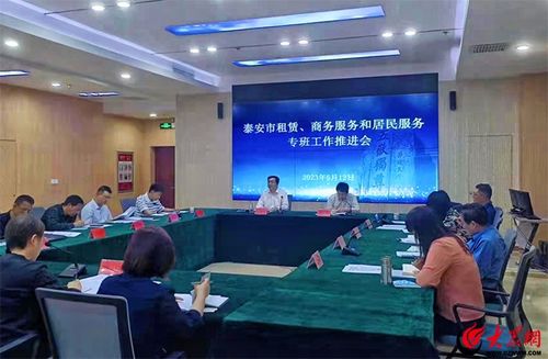 泰安市租賃、商務(wù)服務(wù)和居民服務(wù)專班工作推進(jìn)會(huì)召開(kāi) 聚焦軟件開(kāi)發(fā)與應(yīng)用
